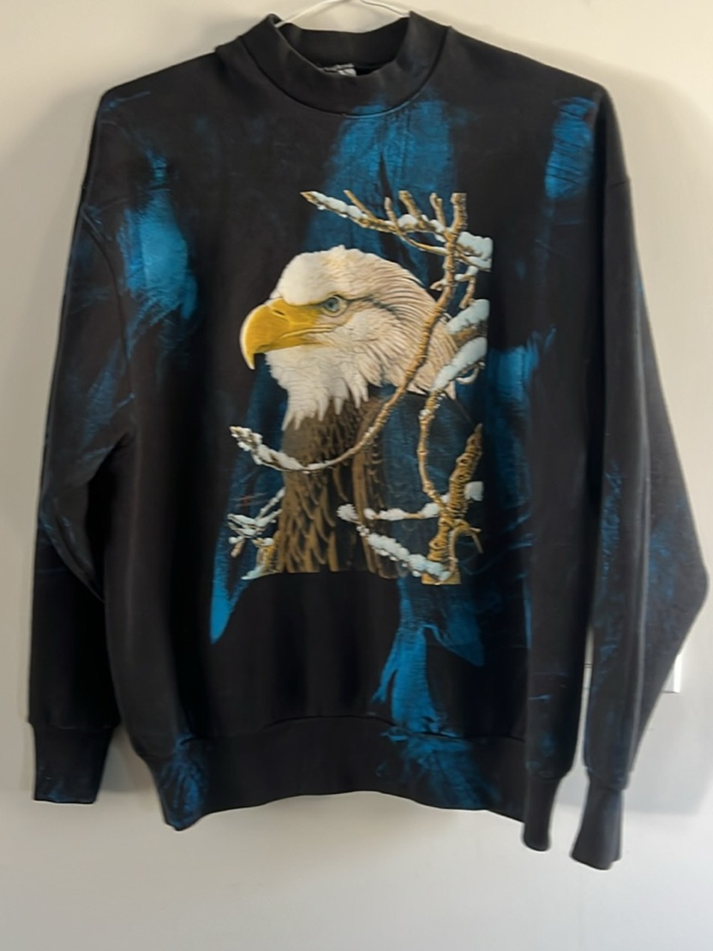 Fruit of the Loom Black Crewneck Sweater with Blue Accents and Eagle Graphic.